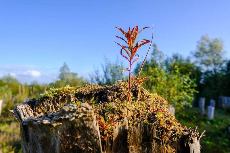 ÖkoZukunft GmbH - Image 6